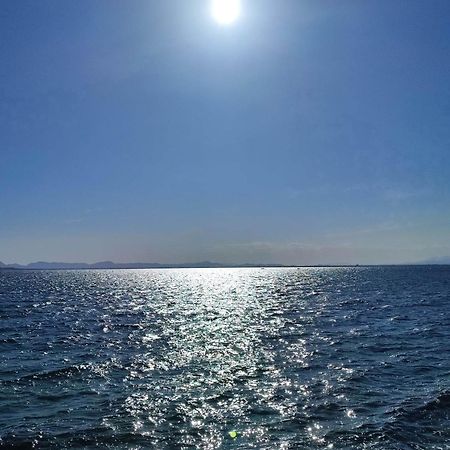Apartamento Cerca De La Playa La Mata La Mata  Camera foto